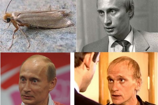 Кракен зайти зеркало