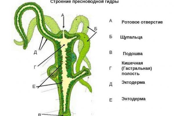 Кракен наркотики в оренбурге